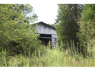 Property photo 9 - LAND AUCTION - 261+/- ACRES IN BRECKINRIDGE COUNTY